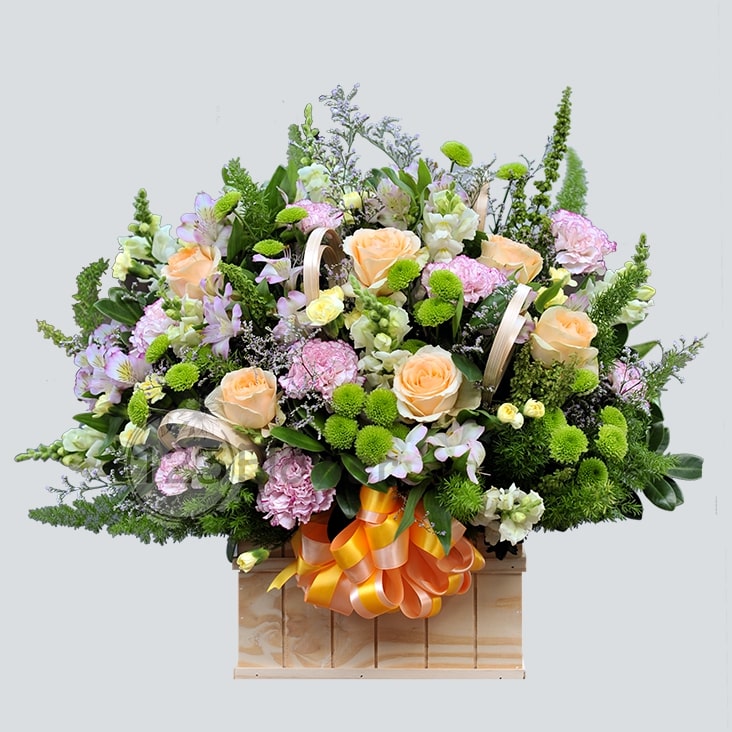 Tú Ngoại Tuệ Trung