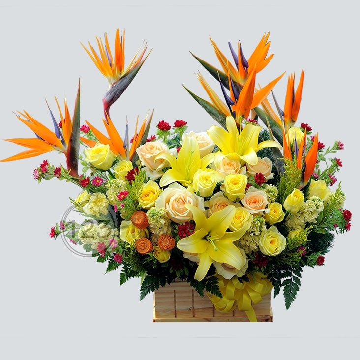 Hộp Hoa 63
