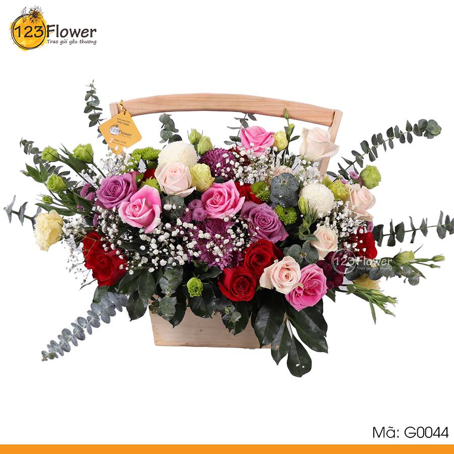 Sắc Mộng Mơ