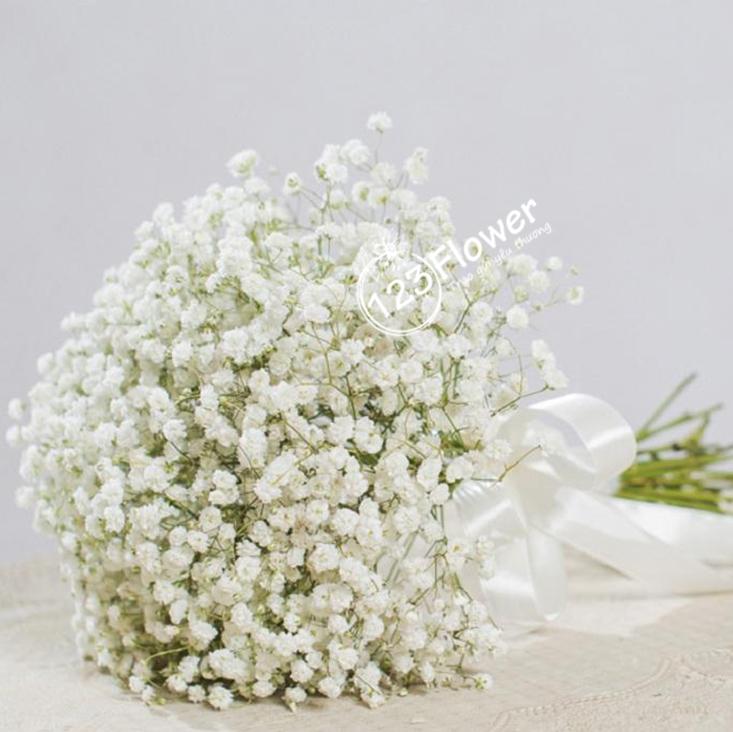 Khởi Đầu Hạnh Phúc