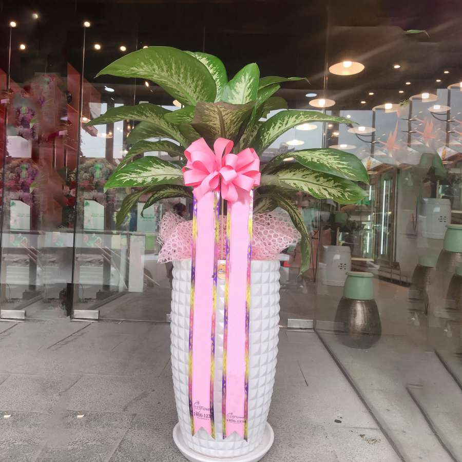 마리안느 (여름)