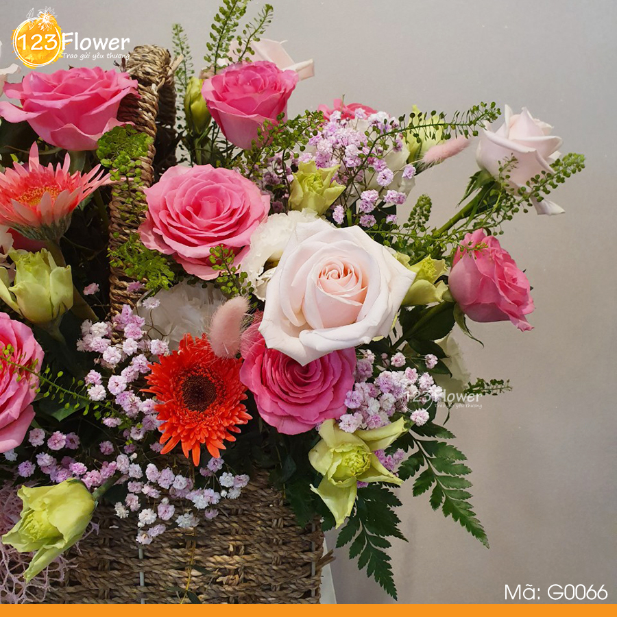 G0066 | Bản Tình Ca
