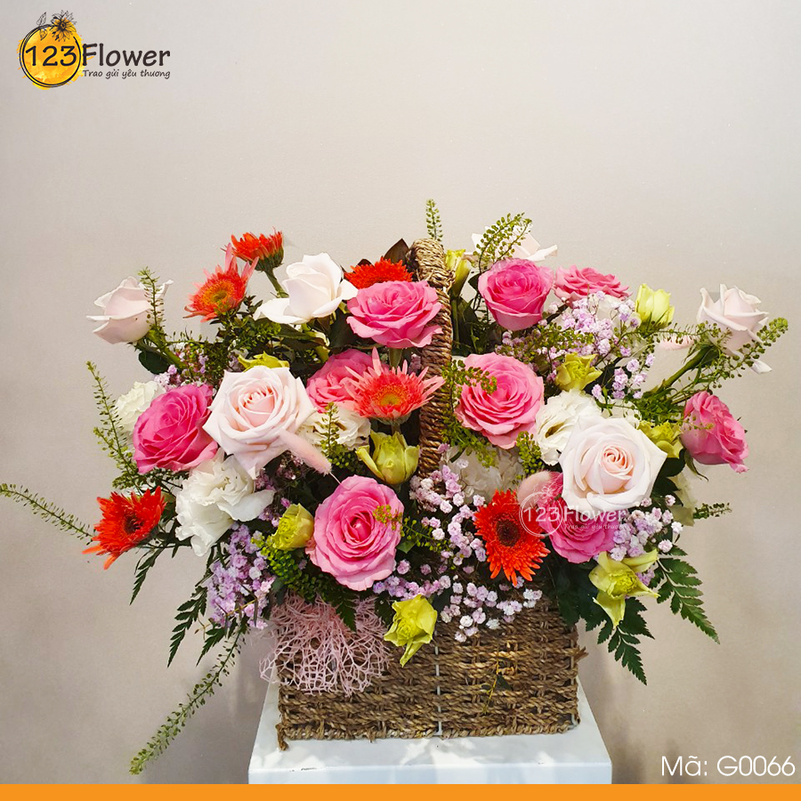 G0066 | Bản Tình Ca