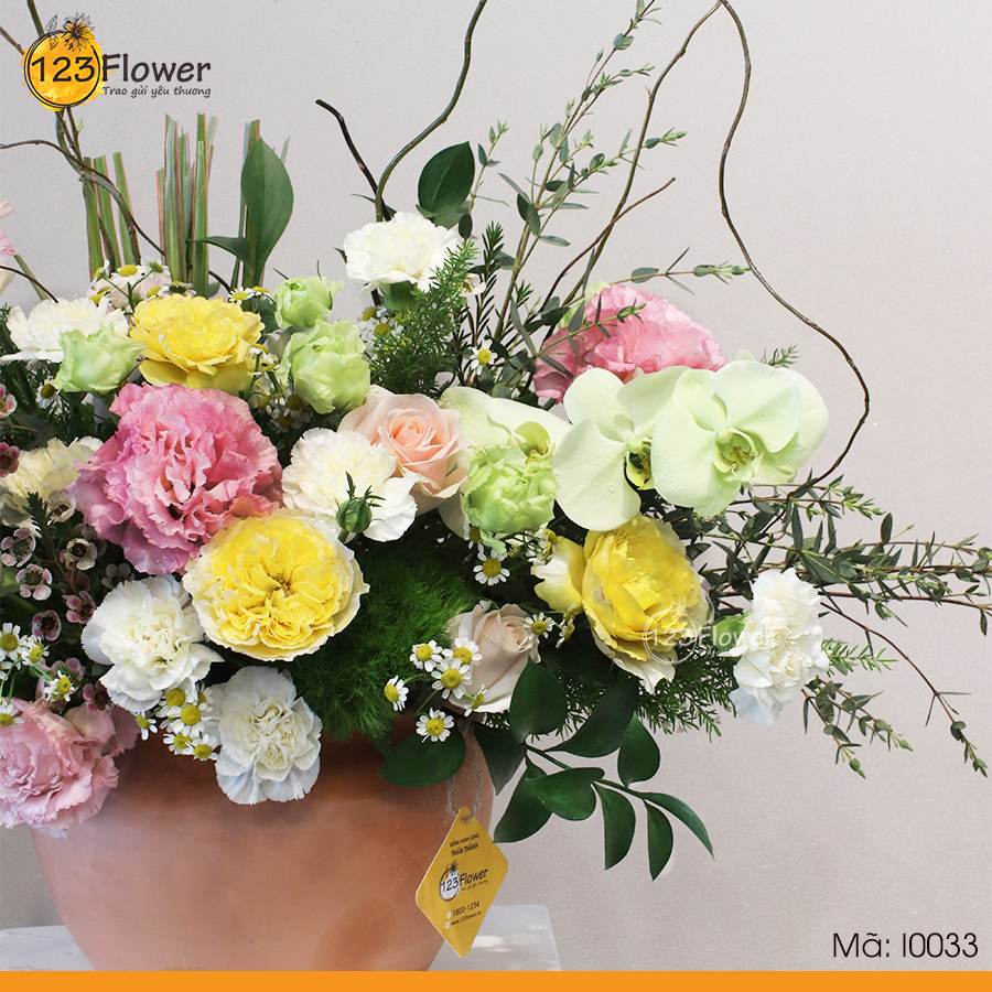 I0033 | Sắc Màu Cuộc Sống
