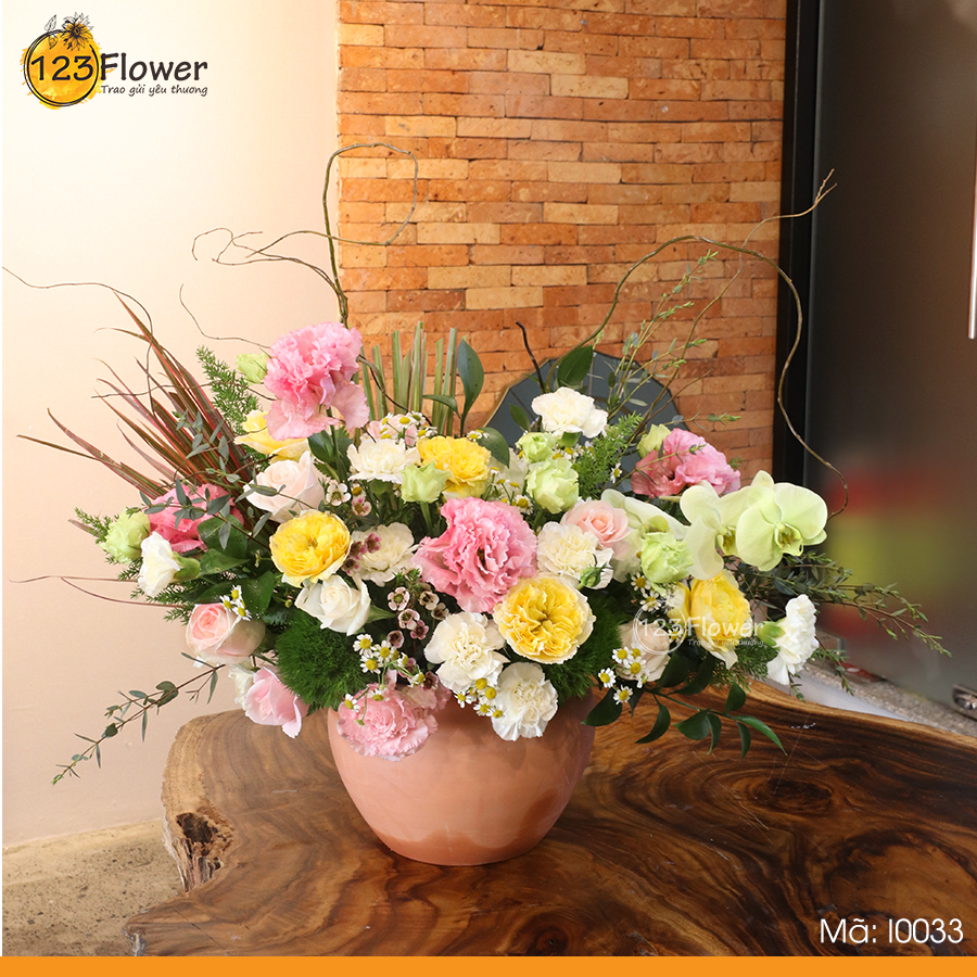 I0033 | Sắc Màu Cuộc Sống
