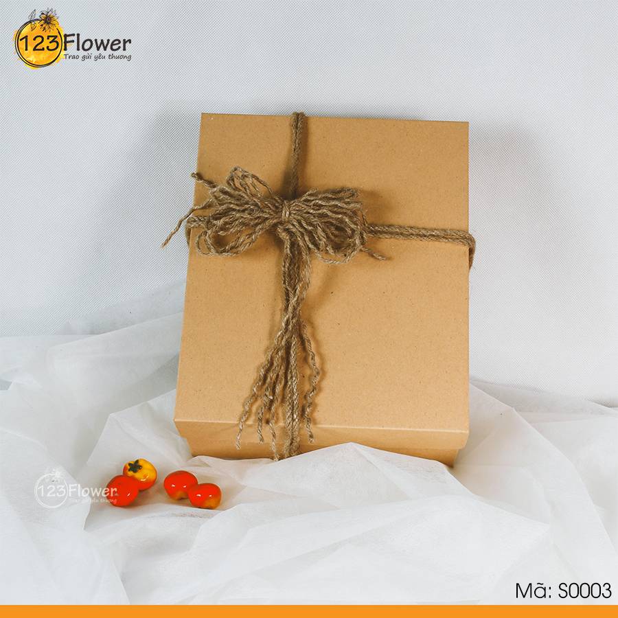 Tú Ngoại Tuệ Trung