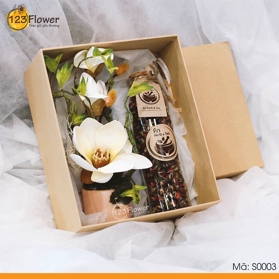Tú Ngoại Tuệ Trung