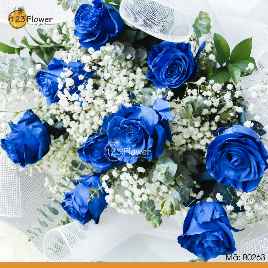 B0263 | VĨNH CỬU