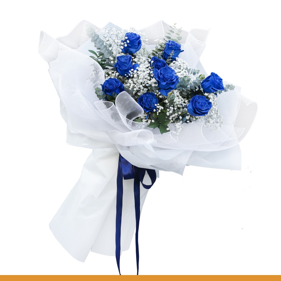 B0263 | VĨNH CỬU